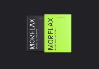 Book Mockup Copy - 3D illustrations, mockups and icons