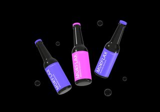 Beer Bottle Mockup - 3D illustrations, mockups and icons