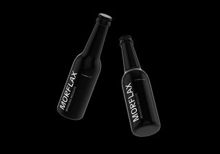 Beer Bottle Mockups - 3D illustrations, mockups and icons